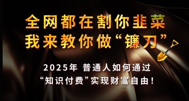 闲鱼电商实战课，从入门到精通秘籍在此，闲鱼电商无货源玩法超燃!-51资源库
