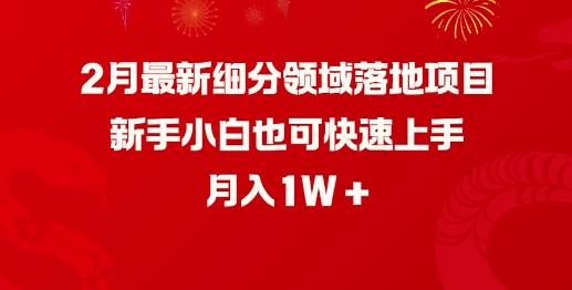 2月最新细分领域落地项目，新手小白也可快速上手，月入1W-51资源库