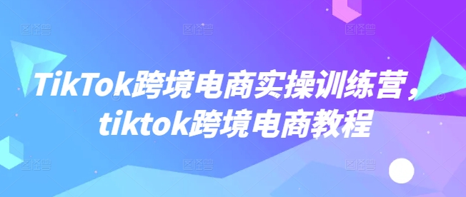 TikTok跨境电商实操训练营，tiktok跨境电商教程-51资源库