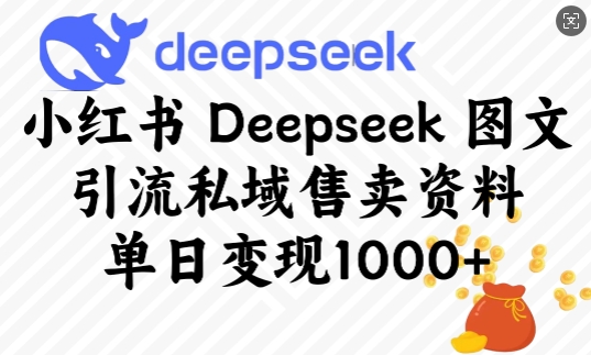 小红书Deepseek图文引流私域售卖资料，单日变现多张-51资源库