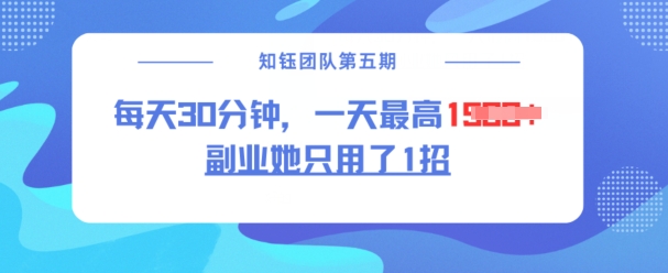 副业她只用了1招，每天30分钟，无脑二创，一天最高1.5k-51资源库