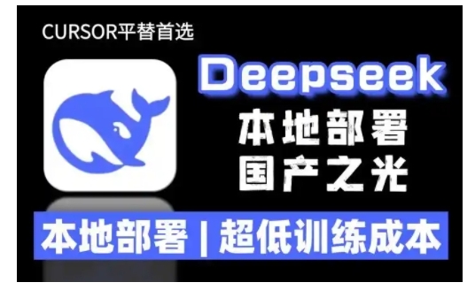 2025年deepseek R1 大型模型本地安装部署(文件+教程)本地部署，超低训练成本-51资源库