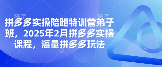 拼多多实操陪跑特训营弟子班，2025年2月拼多多实操课程，海量拼多多玩法-51资源库