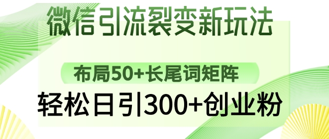 微信引流裂变新玩法：布局50+长尾词矩阵，轻松日引300+创业粉-51资源库
