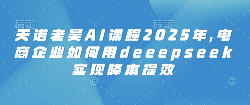 天诺老吴AI课程2025年，电商企业如何用deeepseek实现降本提效-51资源库