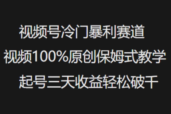 视频号冷门暴利赛道视频100%原创保姆式教学起号三天收益轻松破千-51资源库