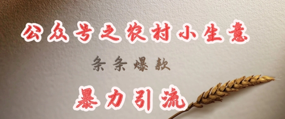 deepseek写农村小项目，条条爆款，暴力引流-51资源库
