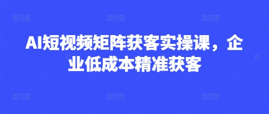 AI短视频矩阵获客实操课，企业低成本精准获客-51资源库