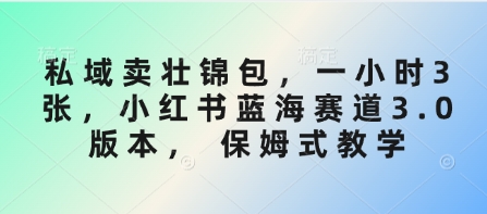 私域卖壮锦包，一小时3张，小红书蓝海赛道3.0版本， 保姆式教学-51资源库