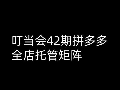 叮当会拼多多打爆班原创高阶技术第42期，拼多多全店托管矩阵-51资源库