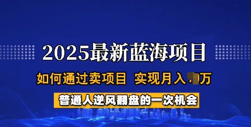 2025蓝海项目，普通人如何通过卖项目，实现月入过W，全过程【揭秘】-51资源库