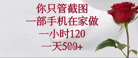 你只管截图，一部手机在家操作，一小时120.一天5张【揭秘】-51资源库