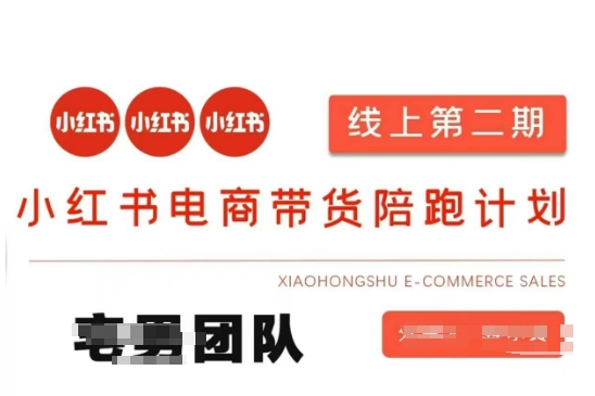 小红书电商带货课2期，月利润20个的小红书电商的有货源，无货源，虚拟产品，付费投流等整套玩法-51资源库