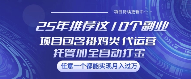 25年推荐这10个副业项目包含褂鸡类、代运营托管类、全自动打金类【揭秘】-51资源库