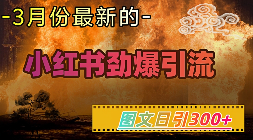 小红书超劲爆引流手段，图文日引300+轻松变现1W-51资源库