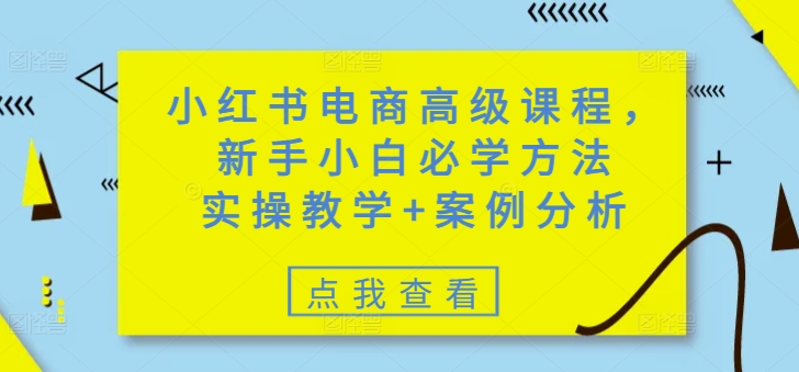 小红书电商高级课程，新手小白必学方法，实操教学+案例分析-51资源库