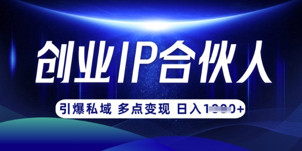 云帆·创业ip合伙人打造3.0，从0到1教你做网创，实现月入过W-51资源库
