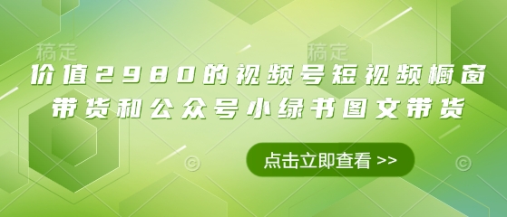 价值2980的视频号短视频橱窗带货和公众号小绿书图文带货-51资源库