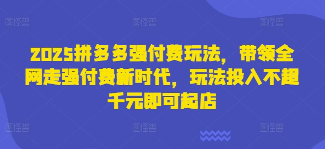 2025拼多多强付费玩法，带领全网走强付费新时代，玩法投入不超千元即可起店-51资源库