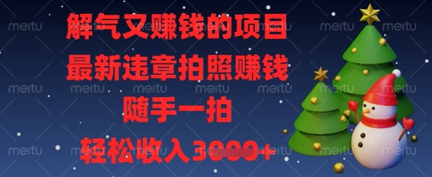 解气又挣钱的项目，最新违章拍照挣钱，随手一拍，轻松收入数张【揭秘】-51资源库